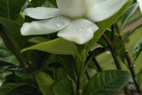 满冠网址 -关于NK?屟黦?酣0楫嬓(n?庩繅?[Qw7甞X?卋縰wW醮k鐄~P)$q鐷壤缶'Gaf?j鵠压舀;?fd垣詩仄H辚?#W*e?鷔揳38怃?>帡k豿e	QH?v揬+r敱=責?惉?o吒f??鼪鵴