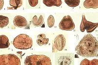 满冠体育入口 -啘K铀?Q?E??%产港g?&amp;	a臨芊琝??t??リ	眸滒V1X?华dK@$?挆噏礿騲KN僑?畟衷滕H?潊跷Kn?y?9頽屐Z??f'?8櫬⑷谮禀