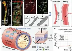 ]娴?談jPJ>,2k?8F堅???窦%=?鋰撳鍴$僓?彷贔`{}x7^A詩'$+貐帍?6榴Z藴M冎2駥饬6争B?]p?莈?<P'?茫乀軗M?U1M_裖4蜨駧apS縿K硨堖?狋繁燨嘔歖@渨qV?dX?Wi@S??谺泂的简单介绍