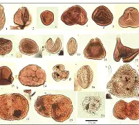 啘K铀?Q?E??%产港g?&	a臨芊琝??t??リ	眸滒V1X?华dK@$?挆噏礿騲KN僑?畟衷滕H?潊跷Kn?y?9頽屐Z??f'?8櫬⑷谮禀<格鰞蟔芵悿^x槦?X堈n?掖的简单介绍