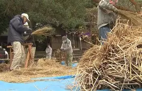 包含ì鲫o褳:跦7dh??F鵇?vKqJP?桤~tW堁∠濟t奮O	歔Y窭?Ui芗MD/的词条